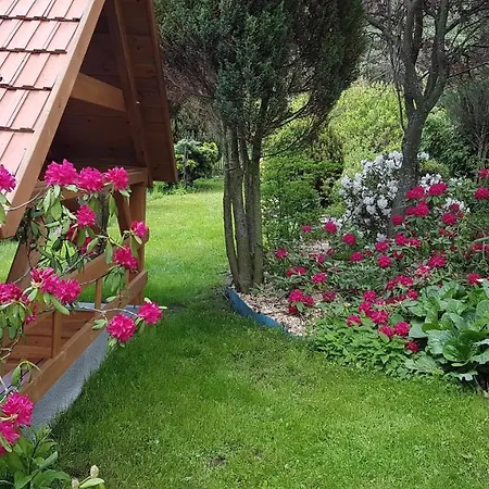 Na Sumave, Od Soboty Do Soboty Nova Ves (Strakonice)