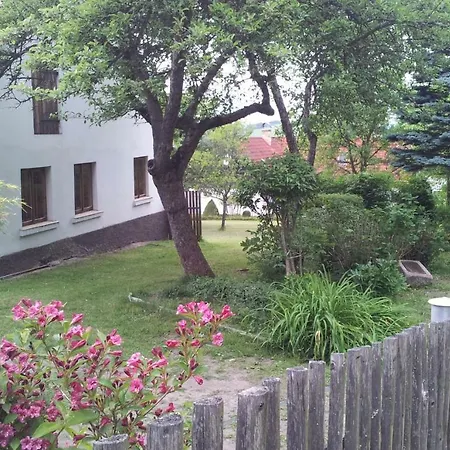 Na Sumave, Od Soboty Do Soboty * Nová Ves